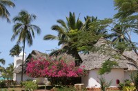 Территория отеля - фотогалерея на RCC-TRAVEL.RU Территория отеля - фотогалерея на RCC-TRAVEL.RU